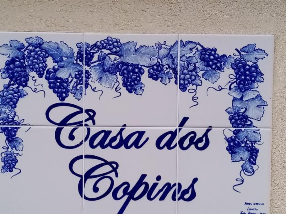 Casa Dos Copins Villa Lamego Buitenkant foto